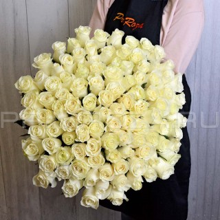 101 белая роза (70см)