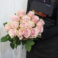 Пыльно-розовая роза 50 см  #R0218