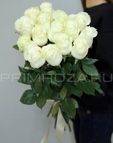 15 высоких белоснежных роз  #DM05
