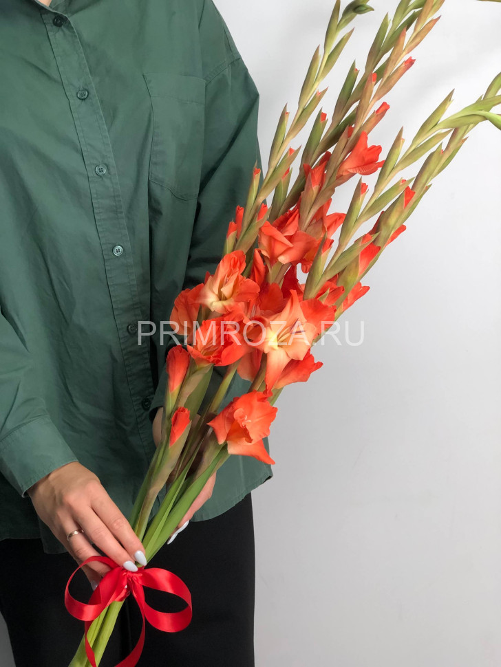 Цветы c доставкой во Владивостоке <br>Монобукет из гладиолусов под ленту 