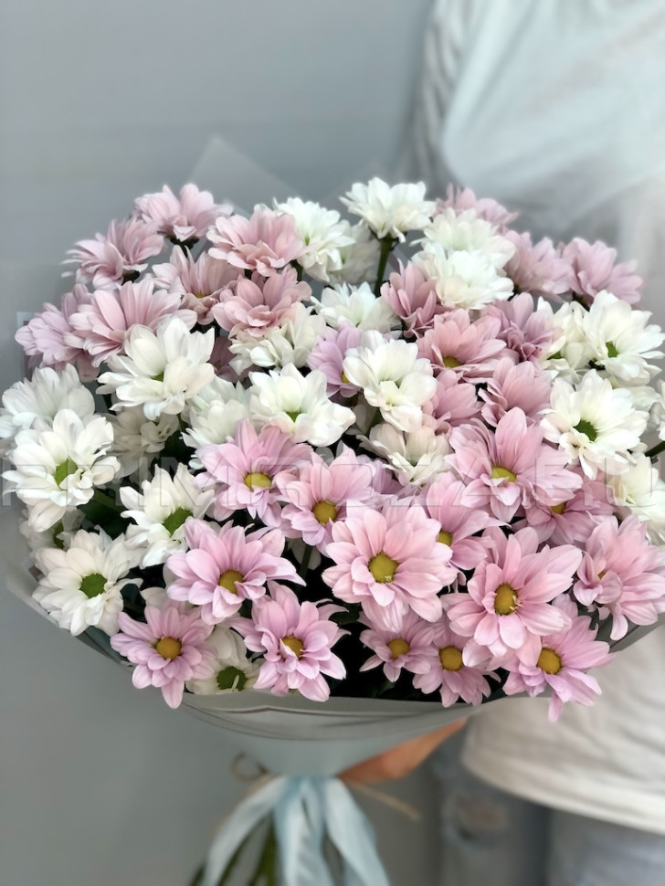 Цветы c доставкой во Владивостоке <br>Букет хризантем #H6786 