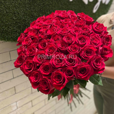 51 роза Эквадор #R6384