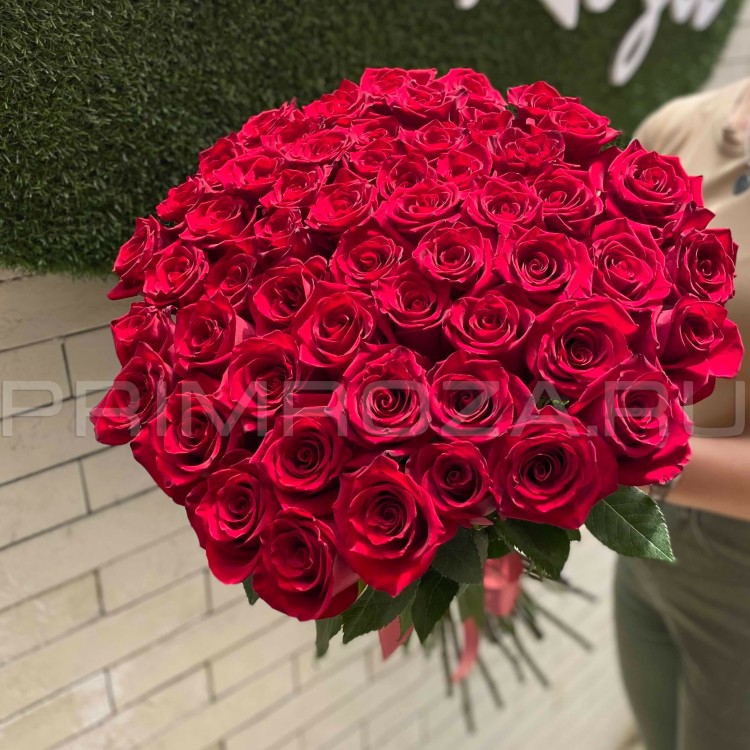 51 роза Эквадор