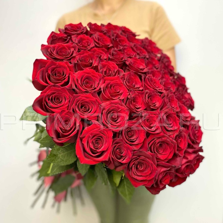 51 роза Эквадор
