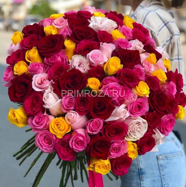 101 разноцветная роза 