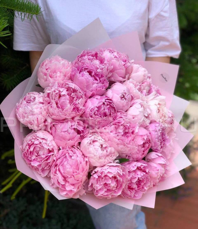 Цветы c доставкой во Владивостоке <br>Пионы #P001 