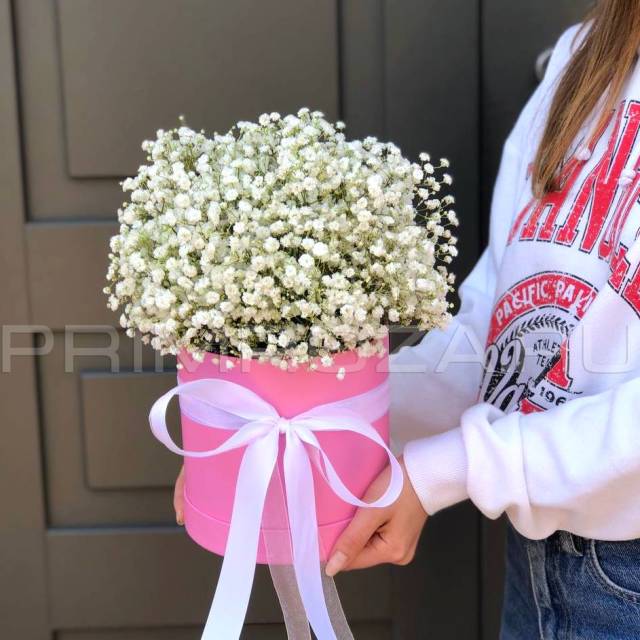 Гипсофила в декоративной коробке #A5665