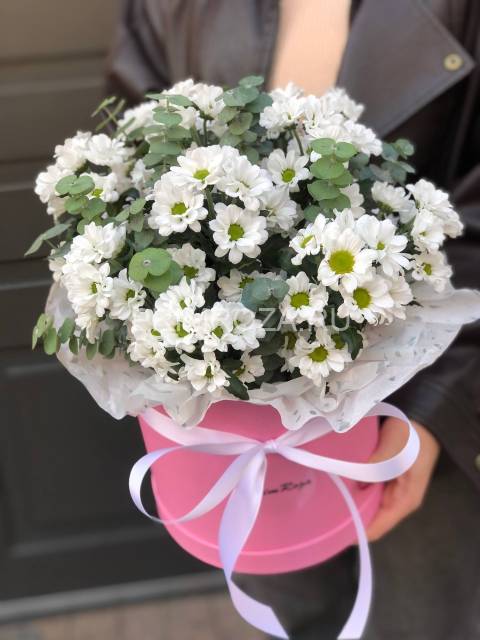 Хризантема сантини в коробке #А1112