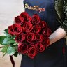 15 роз ЭКВАДОР#R015