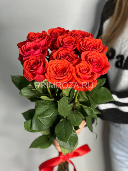 БУКЕТ ИЗ 11  ВЫСОКИХ АЛЫХ РОЗ  #R1145