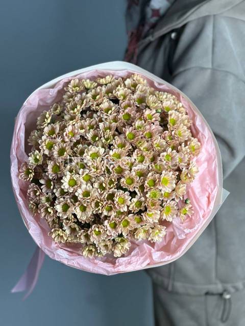 Монобукет из 25 сантини