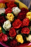 Букет разноцветных роз Кения доставка во Владивостоке фото 3 — Primroza