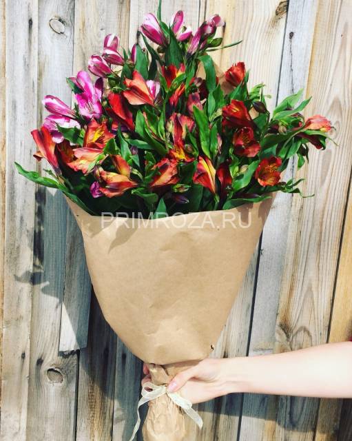 Микс из альстромерии 