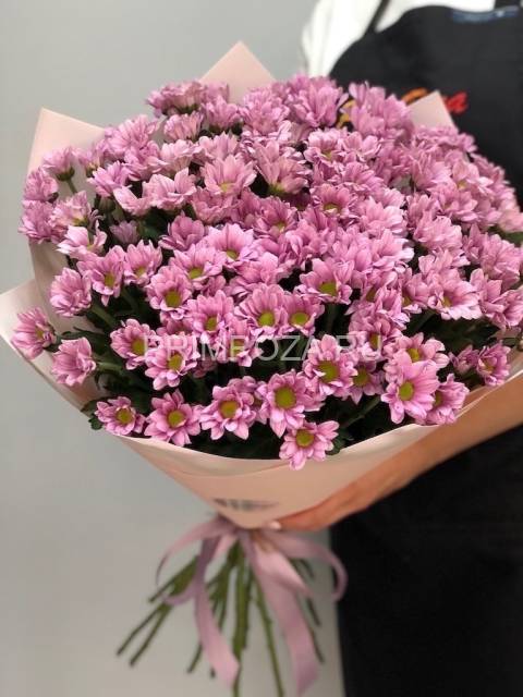 Букет розовых хризантем #6676