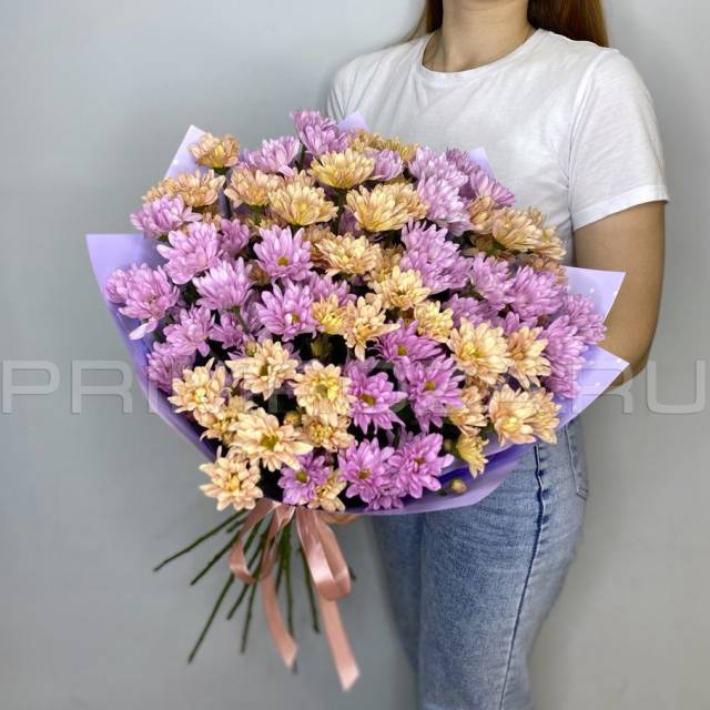 Букет из 15 кустовых хризантем 