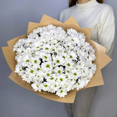 Букет из 15 ромашковых хризантем