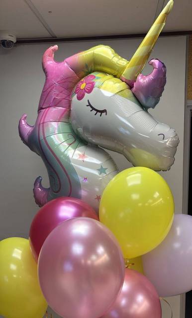 Воздушные шары #SH030