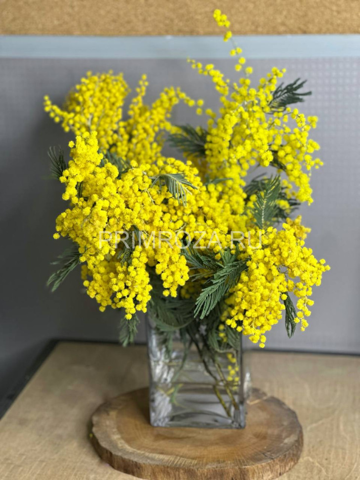Цветы c доставкой во Владивостоке <br>Мимоза