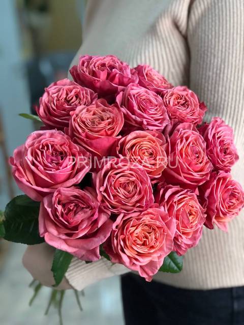 Букет из 15 пионовидных роз #DM031