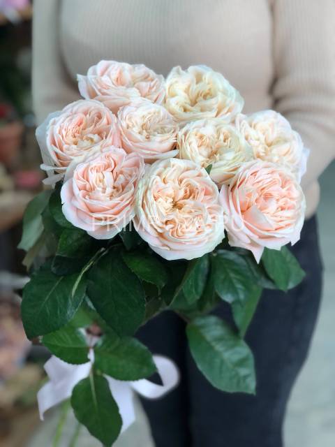 Букет из 9 пионовидных роз 