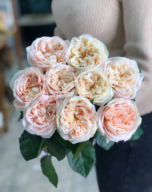 Букет из 9 пионовидных роз 