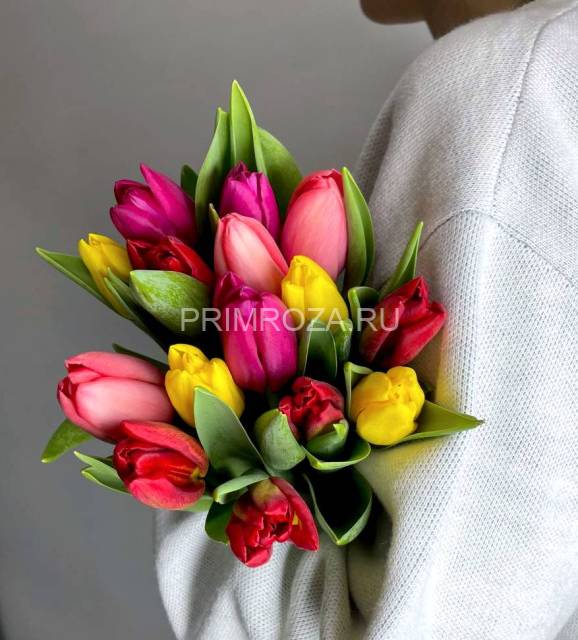  Тюльпаны микс (15шт) 