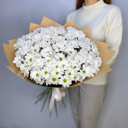  #M017 Букет из 15 ромашковых хризантем 