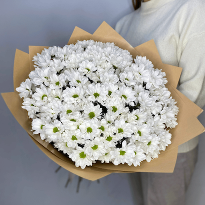  #M017 Букет из 15 ромашковых хризантем 