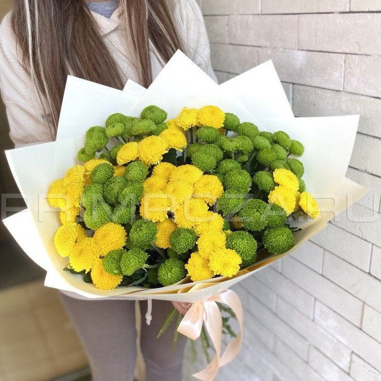 Chrysanthemums delivery Vladivostok