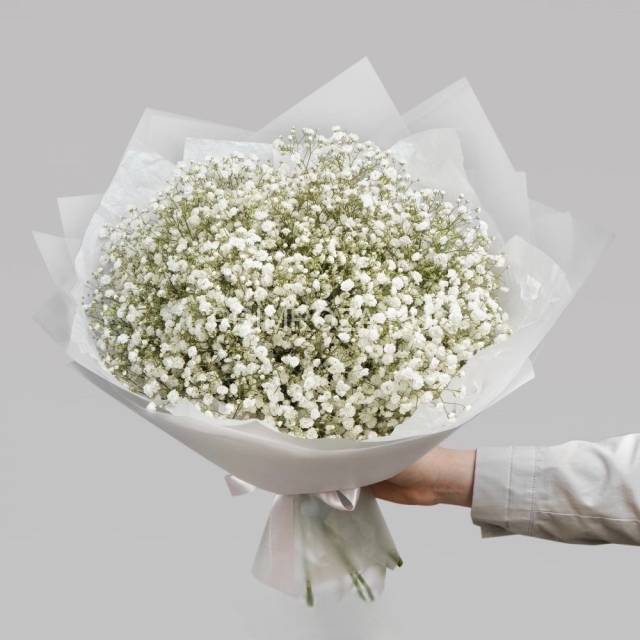 Букет из 15 гипсофил 