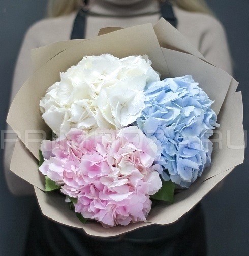 Монобукет из 3 гортензий