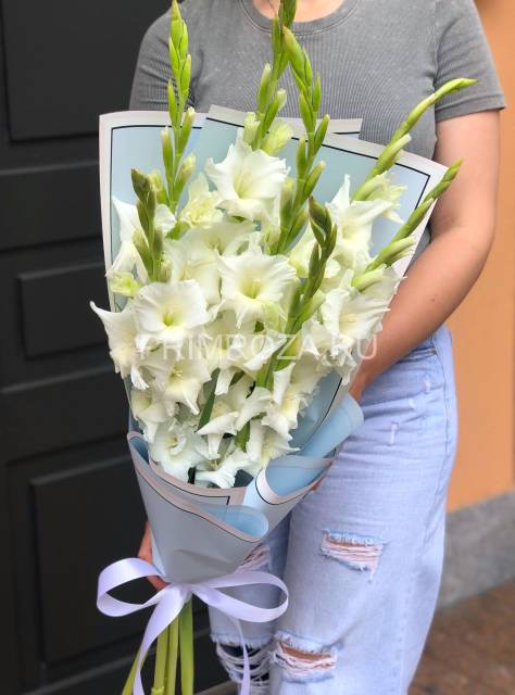 Monobook made of gladioli in a package #G4384