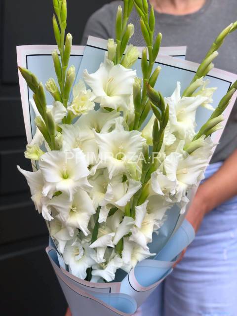 Monobook made of gladioli in a package #G4384