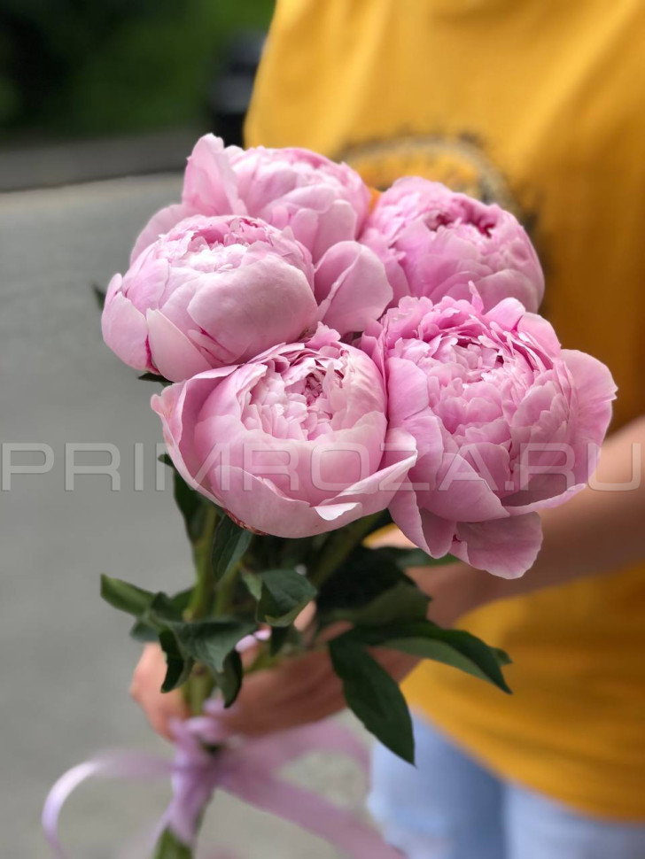 Цветы c доставкой во Владивостоке <br>Букет из 5 пионов Сара Бернар 