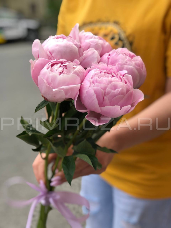 Цветы c доставкой во Владивостоке <br>Букет из 5 пионов Сара Бернар 