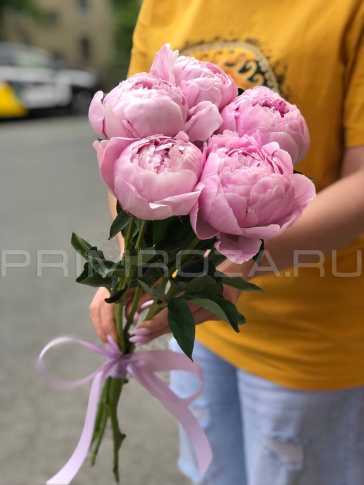 Цветы c доставкой во Владивостоке <br>Букет из 5 пионов Сара Бернар 