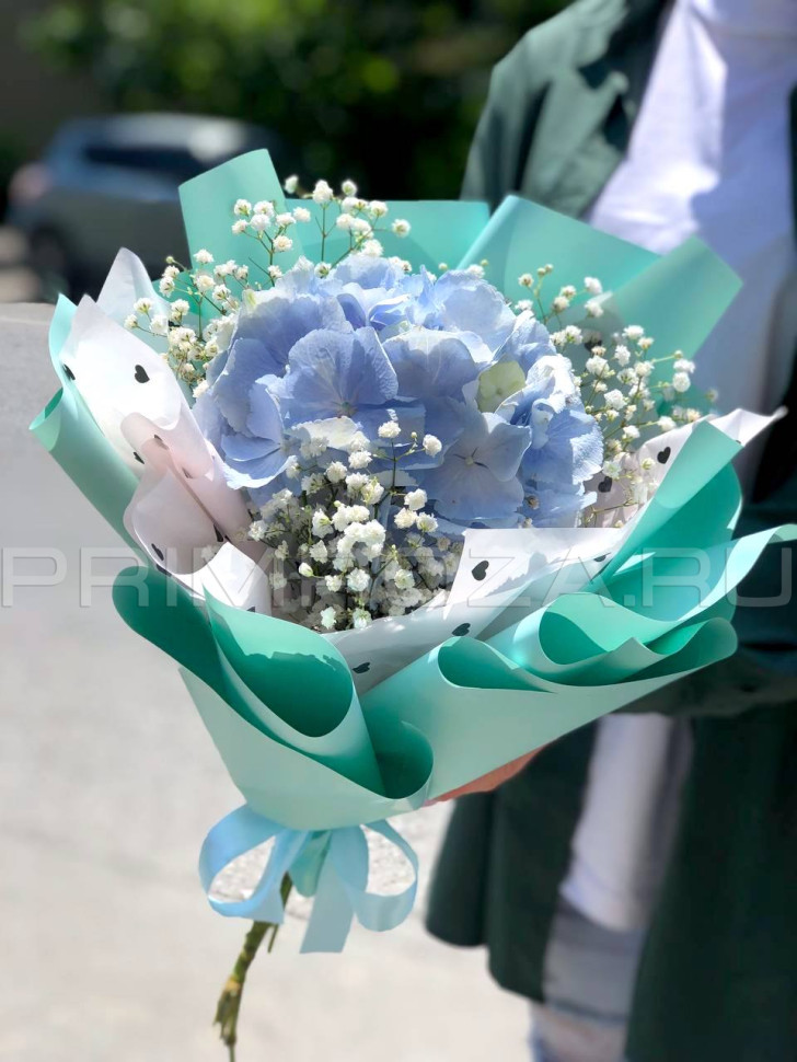 Цветы c доставкой во Владивостоке <br>Букет комплимент с гортензией #G1256 