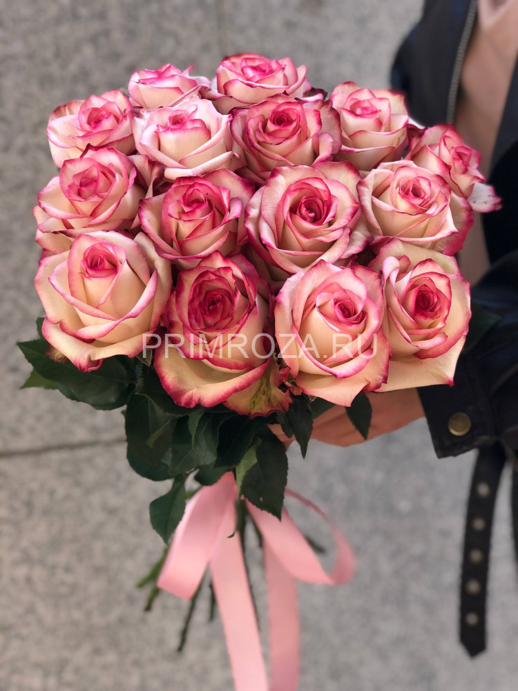 Букет из 15 роз Эквадор #H6897