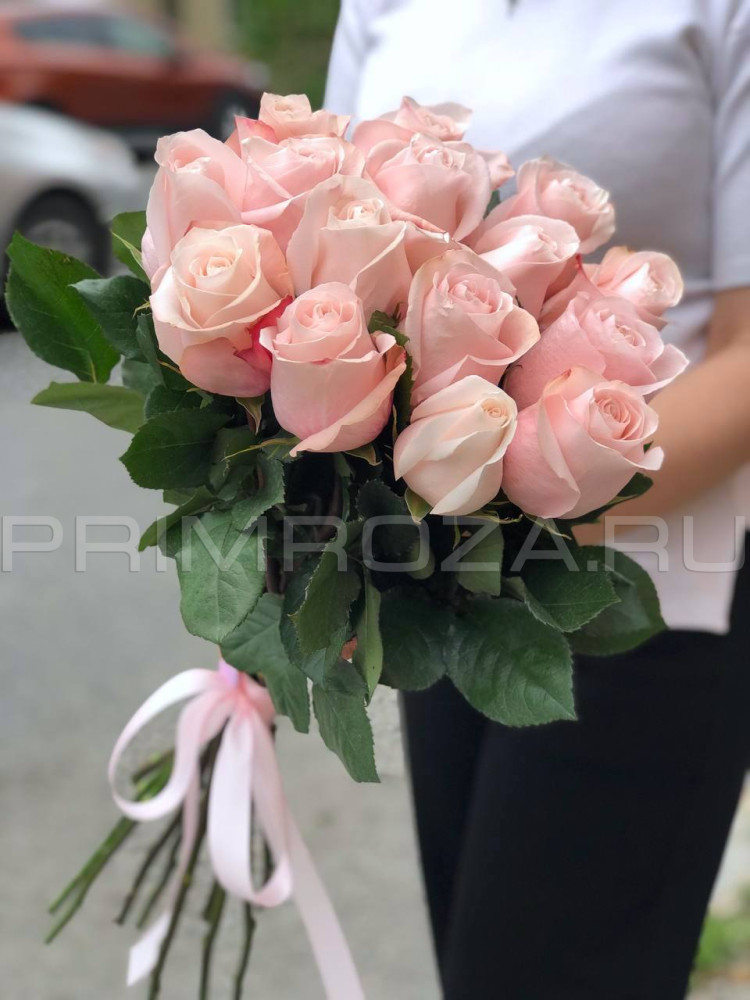 Нежно розовые розы Эквадор