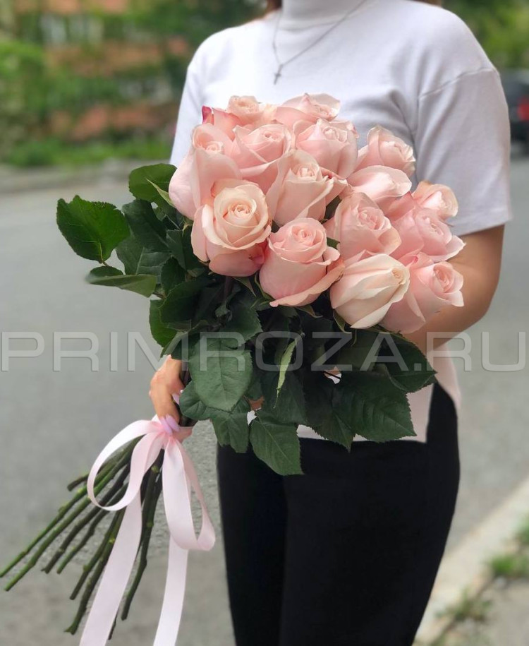 Нежно розовые розы Эквадор