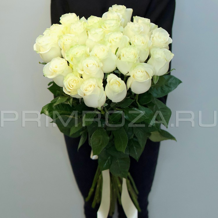 25 высоких белоснежных роз
