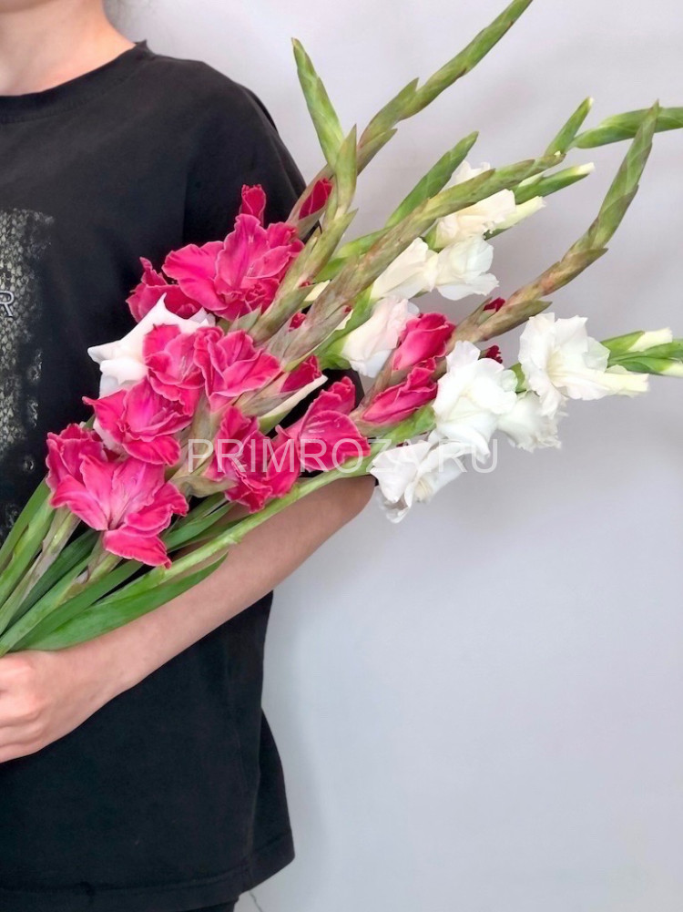 Букет разноцветных гладиолусов
