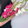 Букет разноцветных гладиолусов 