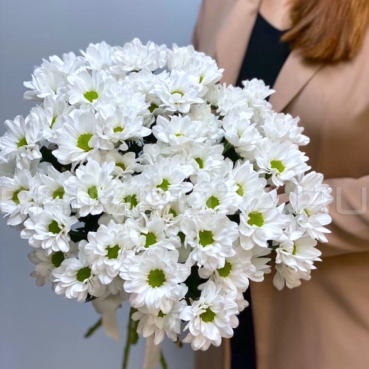  Букет из белых хризантем #DM18 доставка во Владивостоке фото 1 — Primroza