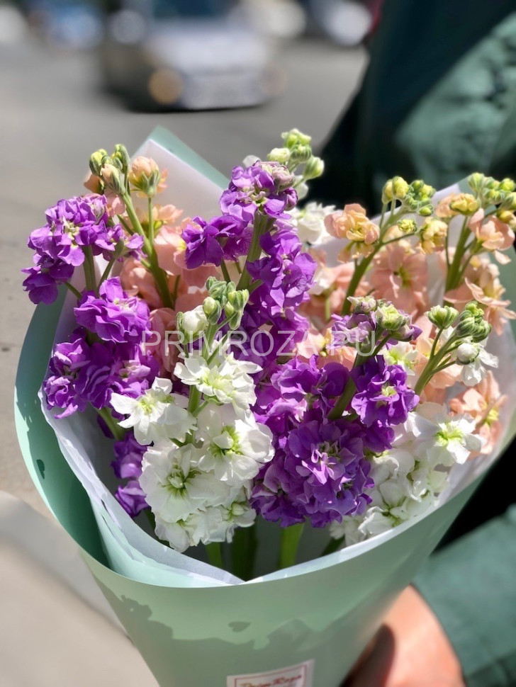 Цветы c доставкой во Владивостоке <br>Букет ароматных маттиол  