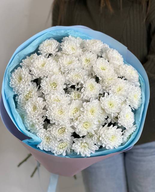 #DV024 Монобукет из 9 хризнтем алтай