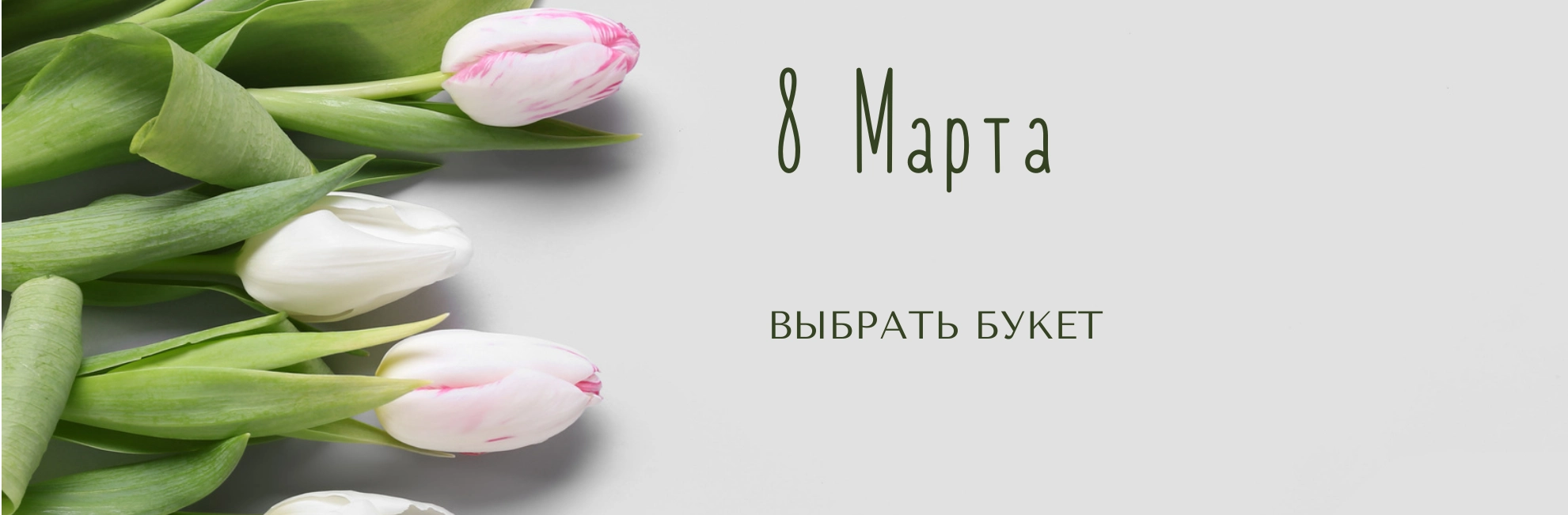 Специальное предложение